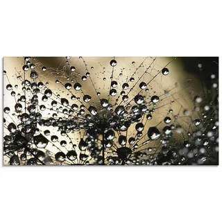 ARTland Wanddeko Glasbilder Wandbild Glas Bild einteilig 60x30 cm Querformat Natur Botanik Blumen Pusteblume Frühling Wassertropfen Modern S5YR