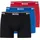 3 PACK Mehrfarbig XXL
