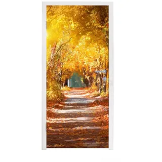 MuchoWow Türtapete Wald - Pfad - Herbst, Matt, bedruckt, (1 St), Türfolie Selbstklebend, Türtapete, Türdeko Poster, 95x235 cm 95 m x 235 m