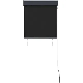vidaXL Außenrollo 60 x 250 cm Anthrazit