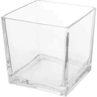 RUNROTOO Blumenvase aus Klarem Glas Eckige Hydroponische Glasvase für Hydrokulturblumen Quadratische Terrariumvase für Wohnzimmer und Büro mit Langanhaltender Nutzung