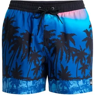 Quiksilver - Everyday Printed Volley 15'' - Badehose Gr XL blau