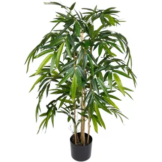pink bambus mittagstisch Bambus Nitida (Fargesia nitida 'Nitida') | 80-100 cm im Topf