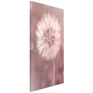 Bilderdepot24 Magnettafel Küche rosa Pusteblume Bokeh rosa, (1-tlg., Magnetboard Pinnwand für die Wand - metallische Tafel für Magnete), Magnetwand groß mit Motiv Büro Memoboard magnetisch rosa 30 cm x 40 cm