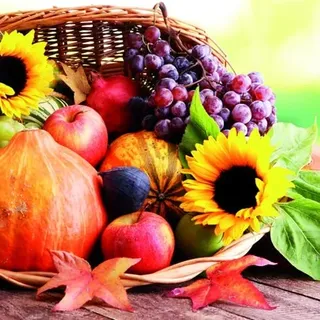 20 Servietten Korb voller Ernte | Sonnenblume | Obst | Ernte | Herbst | Tischdeko 33x33cm