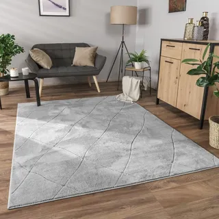 Paco Home Utrecht 641 Kurzflorteppich 120 x 160 cm Grau