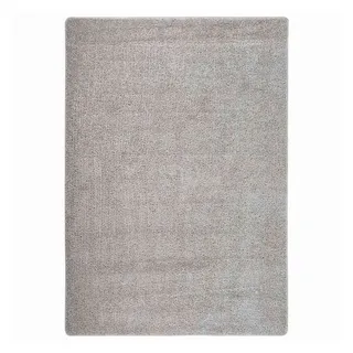 vidaXL Leyna Shaggyteppich 160 x 230 cm Hellgrau