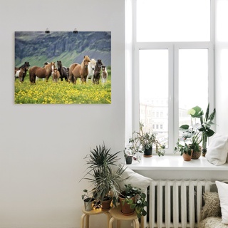 Wandbild ARTLAND "Isländische Pferde VII" Bilder Gr. B/H: 40 cm x 30 cm, Poster, grün Bild Poster Bilder als Alubild, Leinwandbild, Wandaufkleber oder in versch. Größen