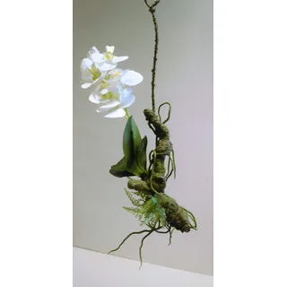 Orchidee Vanda Hänger Hängeorchidee hängend Kunstpflanze Dekopflanze Seidenblume Kunstblume Zimmerpflanze Pflanze Blume künstlich weiß 60435-05 F59