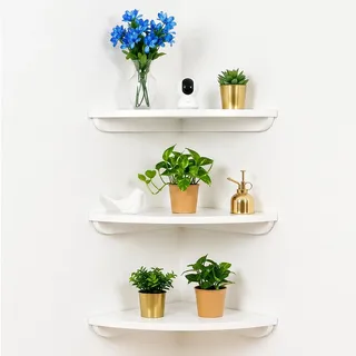 CaitongX Eckregal aus Massivholz Eiche – 1 Stück Wandregal mit runden Enden, 22 cm, fächerförmig, Vintage Landhausstil, Hängeregal für Schlafzimmer, Wohnzimmer, Küche & Bad (Weiß, 22CM)