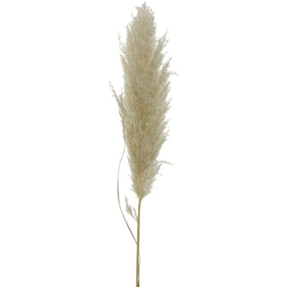 Kunstpflanze PAMPASGRAS (BL 10x10 cm)