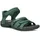 silver pine 36