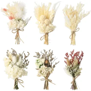 6 Bündel Trockenblumenstrauß Mini Echten Trockenblumen zum Basteln Boho Trockenblumenstrauß Klein Handgemachter Blumenstrauß Natürliche Getrocknete Blumenstrauss Blumen Deko für Bilderrahmen