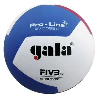 Gala Volleyball Pro-Line BV5595S""
