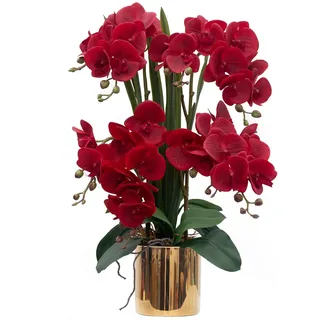 CXGS Künstliche Orchideen, Real Touch-Qualität, Kunstorchideen in Keramikvase, 53 cm, künstliche Phalaenopsis-Blume für Kunstblumenarrangement, Heim- und Innendekoration, Rot
