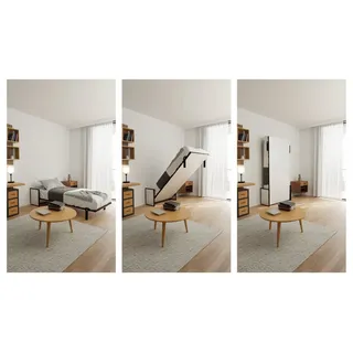 WallBedKing Schrankbett Schrankbett Morphy Horizontal Studio Klappbett - Multifunktion