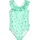 Surfbrett Palme Mint 98/104