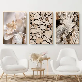 CULASIGN Premium 3er Poster Set - OHNE Rahmen, Modern Wandbilder, Winter Bilder Holz Schnee Pflanze Eichhörnchen, Wanddeko für Schlafzimmer Wohnzimmer (DEF,50x70cm)