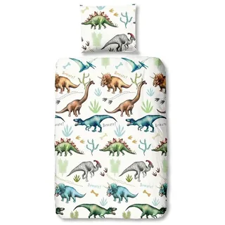 TRAUMSCHLAF Bettwäsche Dinosaurier, Renforce, 2 teilig, aus glatter 100% Baumwolle bunt