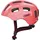 48-54 cm Kinder living coral 2021