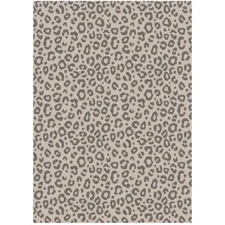 Ross 3er Pack Baumwoll-Geschirrtücher Leoprint 50x70 cm