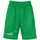 Shorts Grün/Weiß 3XL