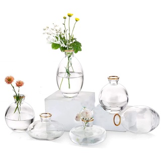 EylKoi Kleine Vasen füR Tischdeko Glas 2 Sätze(6 Stück) Transparent mit Goldrand Mini Vase Vintage Handmade Hydroponic Glasvase Blumenvase Modern Set Hochzeit Tischdeko, Zuhause Wohnzimmer Blumen