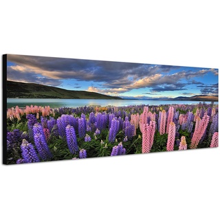 Augenblicke Wandbilder Leinwandbild als Panorama in 150x50cm Neuseeland Blumenwiese Berge See Natur
