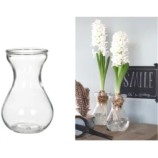 NaDeco Hyazinthenvase, Höhe ca. 14cm, Durchmesser ca. 10cm | Hyazinthenglas | Glasvase für Hyazinthe | Hydrokultur-Glas | Glas-Vase | Kleine Glasflasche | Glasvase für Ihre Hochzeitsdekoration