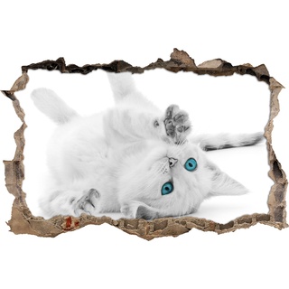 Pixxprint 3D_WD_5170_62x42 niedliche Katze mit blauen Augen Wanddurchbruch 3D Wandtattoo, Vinyl, schwarz / weiß, 62 x 42 x 0,02 cm