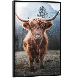 artboxONE Poster mit schwarzem Rahmen 30x20 cm Natur Highland Cow in Nature - Bild Highland Berge Cow
