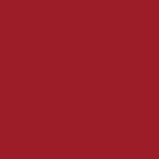 Schneider Schirme Balkonschirm Locarno 120 x 180 cm Polyester Rot