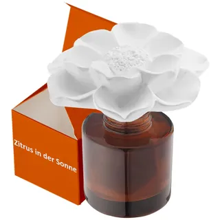 Naturreines ätherisches Öl & Duftstäbchen für Raumduft -Frische Zitrus 50ML