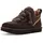 Dusted Cocoa 37