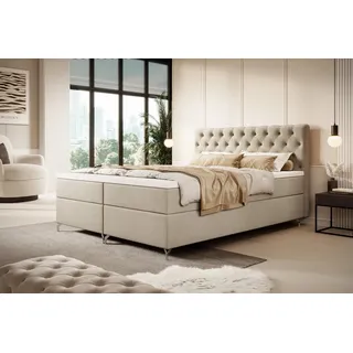 yourhouse24 Chester 160 x 200 cm Beige