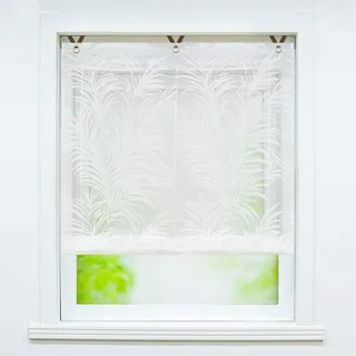 Joyswahl Voile Ösenrollo Transparenter Raffrollo mit Feder Ausbrennerqualität »Alisha« Schals Fenster Gardine mit Hakenaufhängung, Raffrollo ohne Bohren BxH 80x130cm 1 Stück