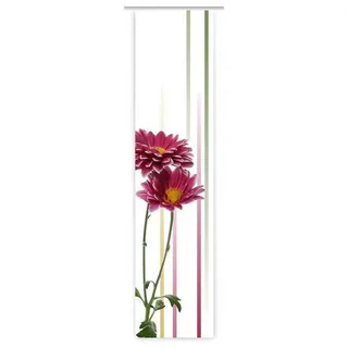 gardinen-for-life Schiebegardine Aster linia links - toller Druck, Flächenvorhang Verschiedene Größen, Store 60 cm x 260 cm