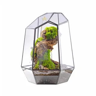 NCYP 25 cm Kleines Geometrisches Terrarium mit Tür, Schwarzer Unregelmäßiger Glas-Übertopf, Sukkulenten-Kakteen-Blumentopf, Heim-Garten-Dekoration, DIY-Geschenk (Ohne Pflanzen und Requisiten)