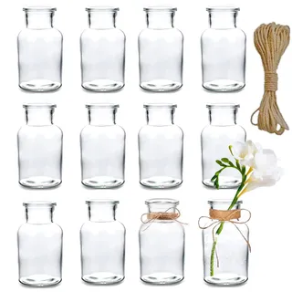 Cnwinu 12 Stück Kleine Vasen Set,tischdeko Blumenvasen mit Juteschnur, Mini Glasvase Hochzeit Deko,kleine Vasen für Tischdeko,tischdeko Geburtstag,Glasfläschchen für Tischdeko Mittelstücke