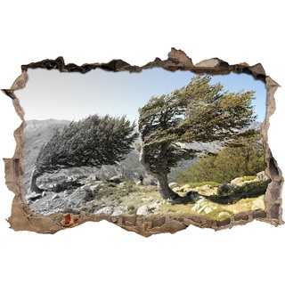 Pixxprint 3D_WD_5077_62x42 Alter Schiefer Baum in den Bergen Wanddurchbruch 3D Wandtattoo, Vinyl, schwarz / weiß, 62 x 42 x 0,02 cm