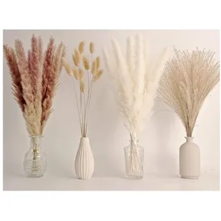 luxuskollektion 65 STK. Natürliche Pampasgras-Bouquets für Boho-Hochzeits- und