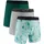 Rack Green S