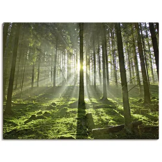 Wandbild ARTLAND "Wald im Gegenlicht", grün (farbe bild(er): grün), B:80cm H:60cm, Bilder, als Leinwandbild, Poster in verschied. Größen