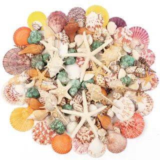 680g Muscheln Deko, 130+ Stück Natürliche Muscheln de Verschiedene Größen, Seesterne Auster Muscheln Kleine Muscheln für Auffädeln Fischtank Vase Füller Strand Maritime Meeres Fisch Deko