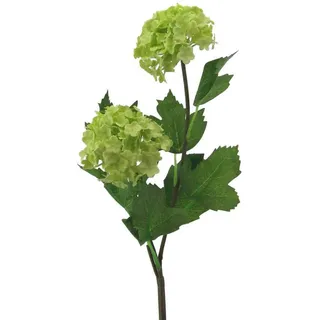 Kunstblumen SCHNEEBALLZWEIG ca 49 cm. (Viburnum. Blüte ähnlich wie Hortensie) In GRÜN-50