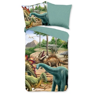 Kinderbettwäsche »Dinosaurier Bettwäsche-Set«, good morning, Biber, 2 teilig, Dinosaurier in freier Wildbahn bunt 1 St. x 140 cm x 220 cm