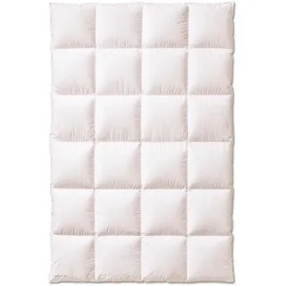 Kauffmann Elegance 700 155x220 cm warm