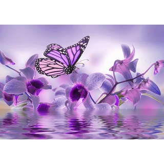 wandmotiv24 Fototapete violett Orchidee, L 300 x 210 cm - 6 Teile, Wanddeko, Wandbild, Wandtapete, Blumen, Wasser, Schmetterling M3739