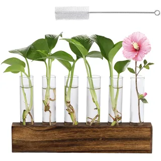 Hängende Propagation Station, Blumenvase, Vintage Kleine Vasen Wandvase, Vase Vermehrungsstation Mit Holzregal & Reinigungsbürste, Für Hydrokultur Pflanzen, Gartenarbeit Geschenke, 6 Löcher