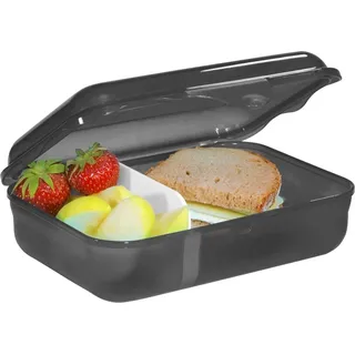 Step By Step Lunchbox "Wild T-Rex Taro", Schwarz